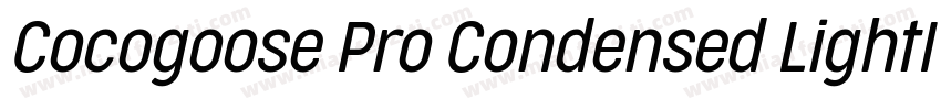 Cocogoose Pro Condensed LightIta字体转换